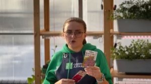 Что сеять в январе на рассаду (Семена Алтая)