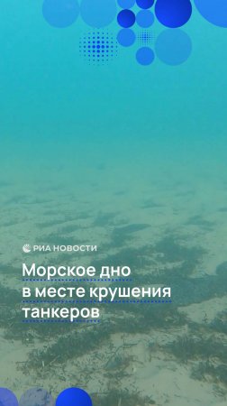 Морское дно в месте крушения танкеров