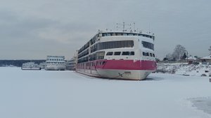 Изменчивая природа