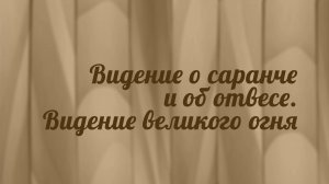 BS216 Rus 6. Книга пророка Амоса. Видение о саранче. Видение великого огня. Видение об отвесе.