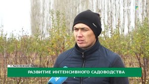 Развитие интенсивного садоводства
