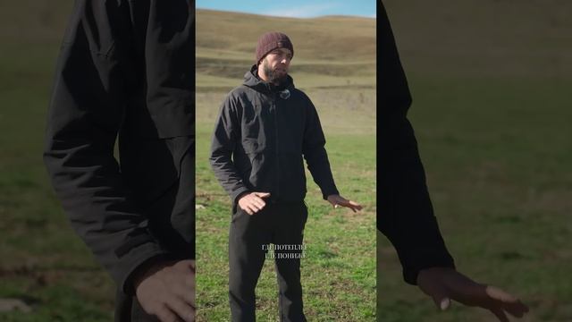 Как пасут овец в горах? Овцеводство как бизнес #фермерство #сельскоехозяйство #свояеда