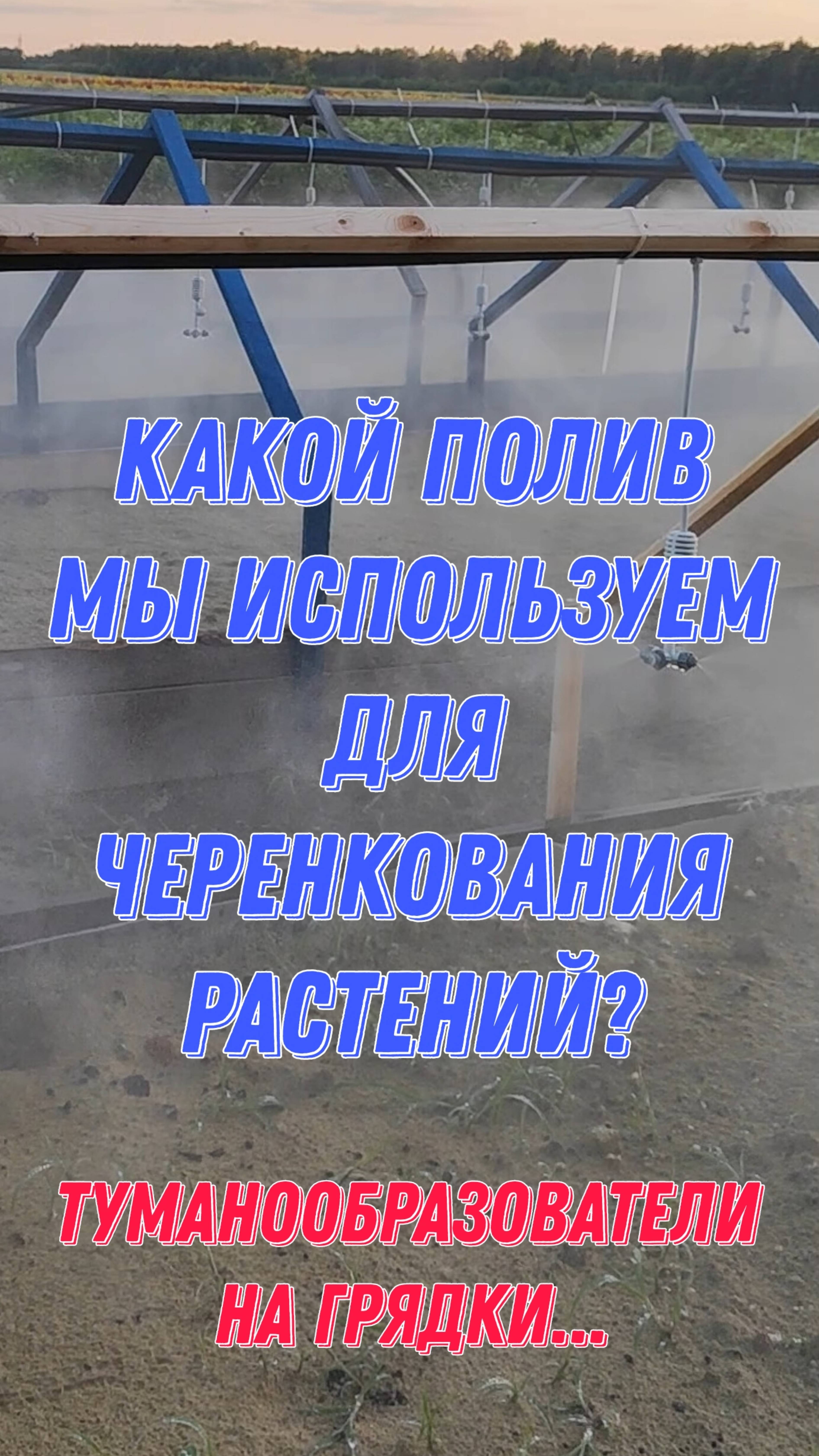Какой полив мы используем для черенкования растений? Туманообразователи на грядки... смотреть онлайн