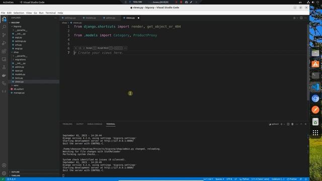 Продвинутый курс Django Developer