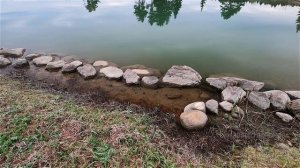 Лёд на пруду