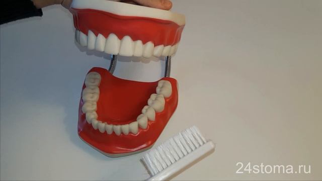 Как правильно чистить зубы зубной щеткой смотреть онлайн