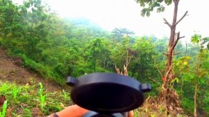 DENGERIN SENDIRI ...!,YG BILANG PETANI. 🛑 berburu ayam hutan