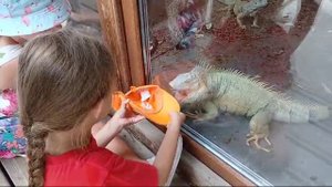 VID-20240709-WA0018.mp4