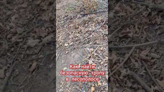 как найти безопасную тропу. минное поле. мы из Краснодара