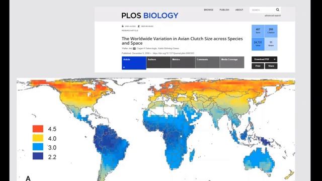 Лекция 09.10 биогеография