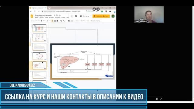 Слитый курс. [Semko School] Вебинар для косметологов «Кортизол и старение» (Анастасия Семко)