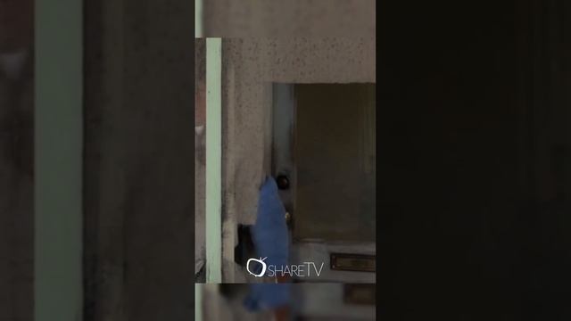 Пёс помог найти своего хозяина #кино #movie #сериал #series #фильм #film #менталист #mentalist смотреть онлайн