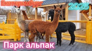 Новый парк в Екатеринбурге "Альпак". Сходили, посмотрели как там