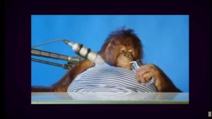 Гимн всех качков х1 х2 х3 х5 х10 х100