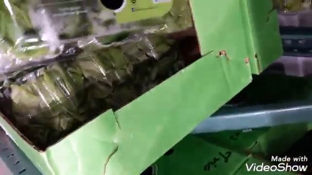 #WhatsInsideCostco#WhatIsWhere#whattodo#costcohaul_Costco tour in tamil/A small costco haul смотреть онлайн