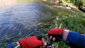 Весенняя рыбалка на голавля .