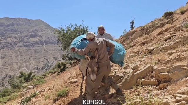 IRAN Nomadic life | gathering fodder for sheep and difficult roads | Nomadic lifestyle of Iran part смотреть онлайн