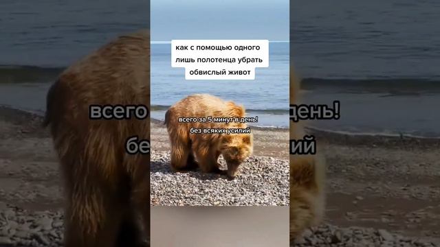 как с помощью одного лишь полотенца убрать живот #народнаямедицина #здоровье #народныерецепты
