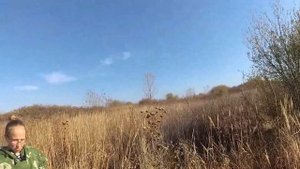 Манок на  Фазана . Секретное заклятие .