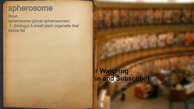 What does spherosome mean?