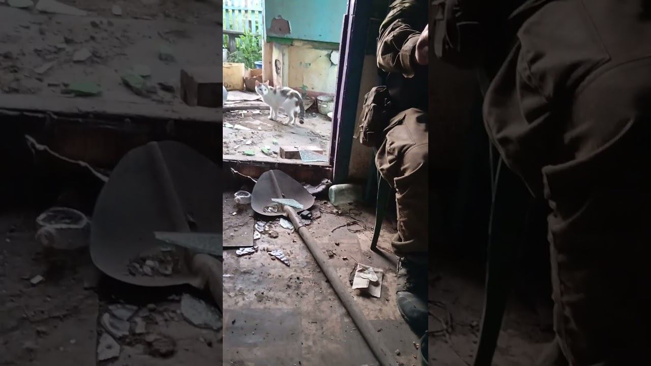 Война #россия #рекомендации #украина смотреть онлайн