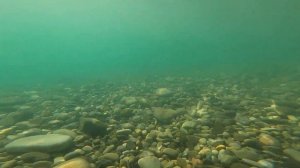 3 МИНУТЫ ПОД ВОДОЙ! ЛАЗАРЕВСКИЙ РАЙОН, АШЕ!