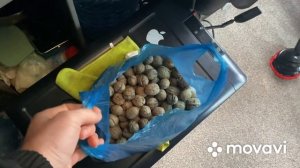 Отдых отменяется, бачек передан