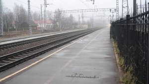 Пролет Сапсана в Питер через Малую Вишеру 16:34 24-11-2012