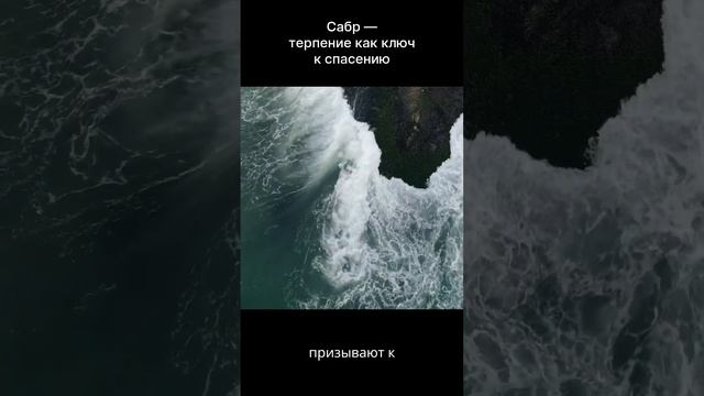 Сабр - ключ к спасению  #сабр  #любовь #терпение