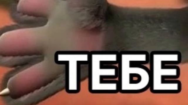 Хаха здарова *б@ть смотреть онлайн