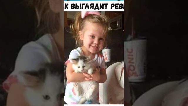 Мемы 2022 #Котики и #Кошки #анекдоты #Озвучка