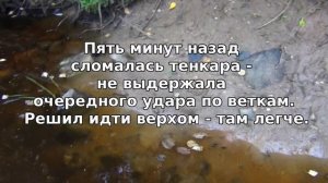 Прогулка выходного дня  С тенкарой на дальний приток