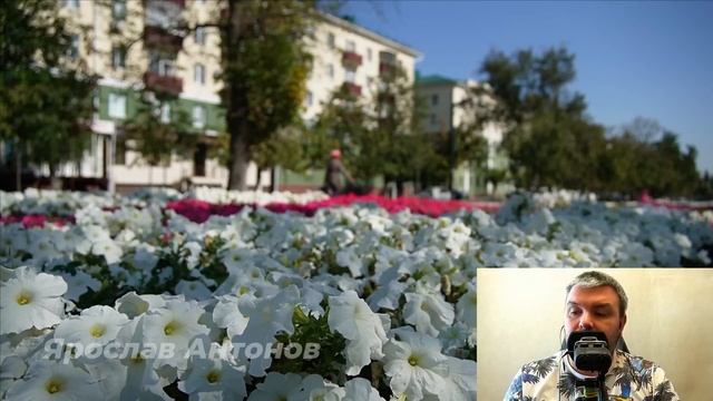 Судьба непринятой пройдет. Ярослав Антонов