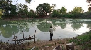 first day feeding katla, common carp,grass carp seed पहला दिन मछलियों को दाना डाला।।