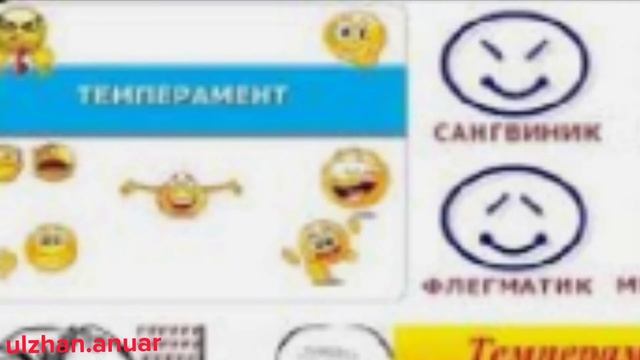 Темперамент дегеніміз не? Мінездің типтері Сангвиник холерик