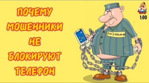 ПОЧЕМУ МОШЕННИКИ НЕ БЛОКИРУЮТ ТЕЛЕФОН