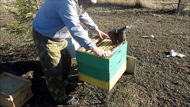Присоединение безматочной семьи
