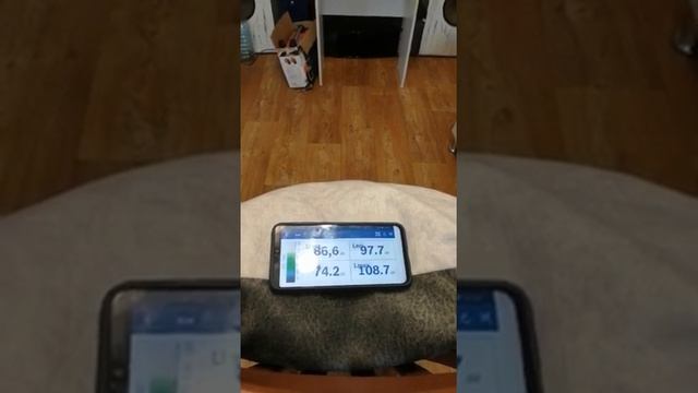 Звуковое давление дома (db ) Японские барабаны.