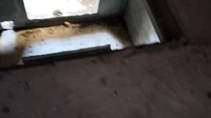 Заброшенный район в Подольске