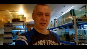 Исскуство разведения дискуса
