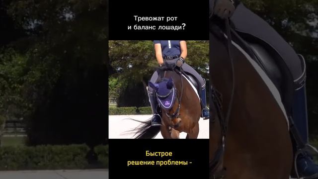 #лошади #верховаяезда #обучениеверховойезде #конюшня #галоп #рысь #выездка #конкур #конныйспорт