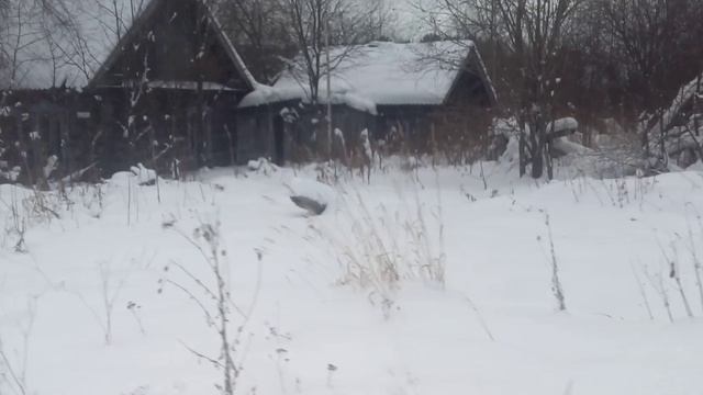 В Уральской глубинке