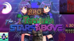 Контента слишком много, Terraria, 5 запуск