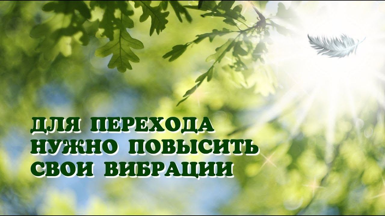 О ПОВЫШЕНИИ ВИБРАЦИЙ. Контактер с Высшим тонким планом Велеса.