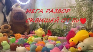 МЕГА-разбор СКВИШЕЙ от По ﹤3