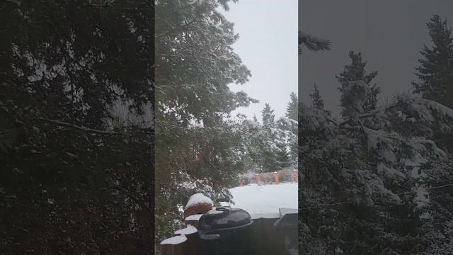 плов в казане 2023 смотреть онлайн