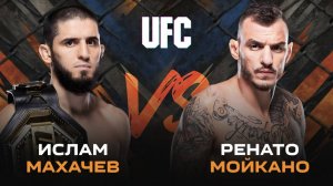 Без БОЯ этот парень не СДАСТСЯ | UFC 311: Ислам Махачев – Ренато Мойкано