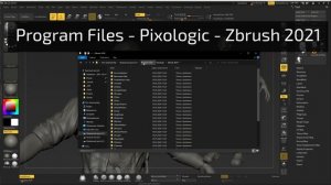 Как установить КИСТИ в Zbrush