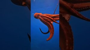 Медитация для поднятия самооценки