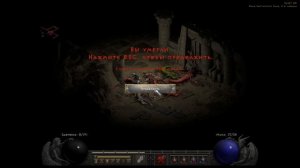 Diablo II Resurrected #19